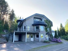 Villa Ateljeerinne Vaajakoski
